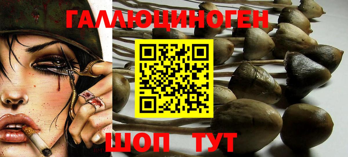 Мефедрон   Героин  Бор  ГАШИШ  КОКАИН  Вход с VPN  МЕТАМФЕТАМИН  Марихуана  Кодеин  Купить наркотик  Гашиш 